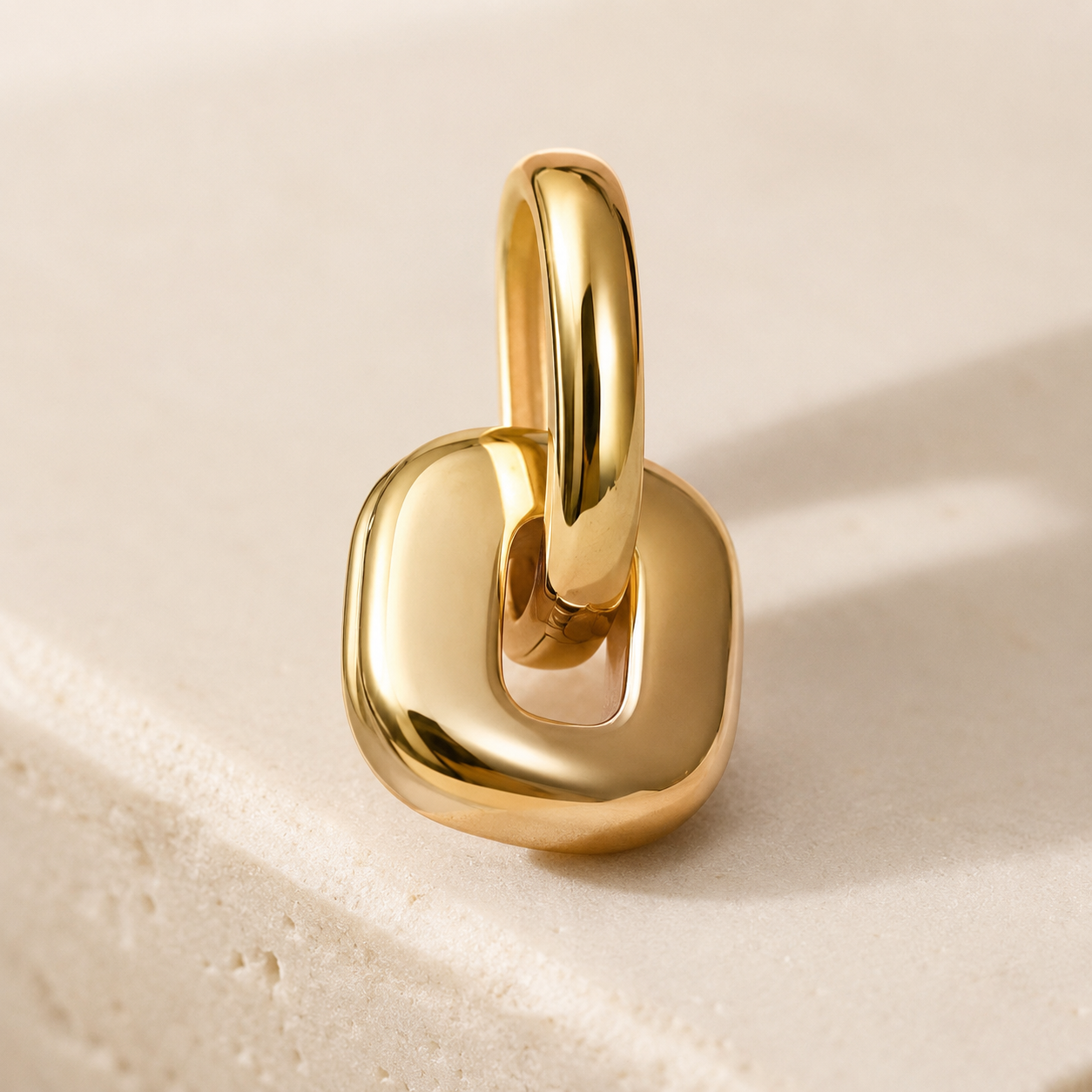 Two-Tone Stainless Steel Link Earrings